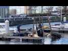 Renflouage d'un bateau coulé au bassin de la marine à Dunkerque