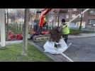 Dunkerque: déménagement des arbres avant travaux