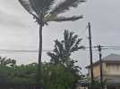 Le cyclone Belal frappe la Réunion