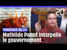 Punaises de lit : Mathilde Panot interpelle le gouvernement à l'Assemblée