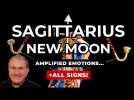 Sagittarius New Moon - Amplified Emotions + All Signs