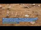 Des fouilles révèlent des traces rares du mésolithique près de Fécamp