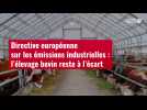 VIDÉO. Directive européenne sur les émissions industrielles : l'élevage bovin reste à l'éc