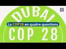 La COP28 en quatre questions