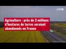 VIDÉO. Agriculture : près de 3 millions d'hectares de terres seraient abandonnés en France