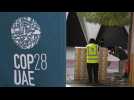Le bilan carbone de la COP28 à Dubaï scruté... à tort et à raison