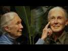 La primatologue Jane Goodall inaugure sa statue de cire au musée Grévin