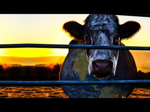 Cowspiracy: The Sustainability Secret - Bande annonce 1 - VO - (2014)