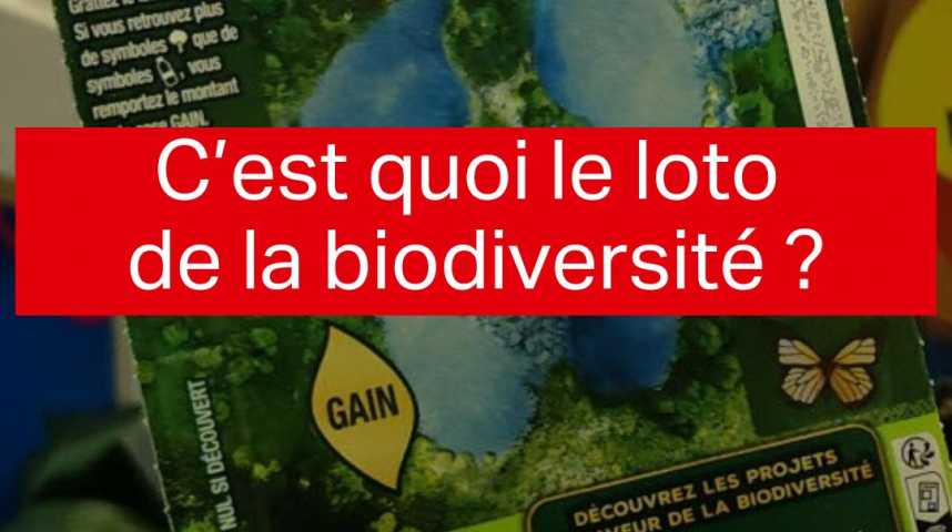 Loto de la biodiversité : le nouveau jeu à gratter « Mission nature »  disponible dès ce lundi - France-Monde