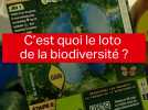 Le loto de la biodiversité : c'est quoi ?