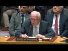 Palestinian top diplomat says Security Council inaction 'inexcusable'