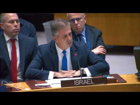 'In what world do you live?' Israeli FM asks UN chief after Gaza criticism