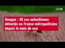 VIDÉO. Dengue : 36 cas autochtones détectés en France métropolitaine depuis le mois de mai