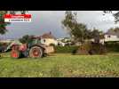 VIDÉO. Tempête Ciaran : un arbre tombe sur la toiture d'une maison près de l'IUT de Vire Normandie