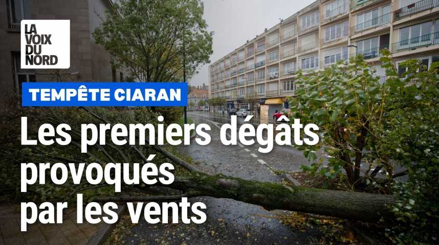 Alerte météo tempête Ciaran : des vents violents jusqu'à 150 km/h sur  l'ouest du pays, plusieurs départements en vigilance orange : Femme  Actuelle Le MAG