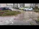 Des voitures endommagées par la chute d'un arbre à Boulogne durant la tempête Ciaran