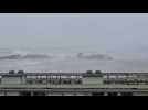 Tempête Ciaran Havre