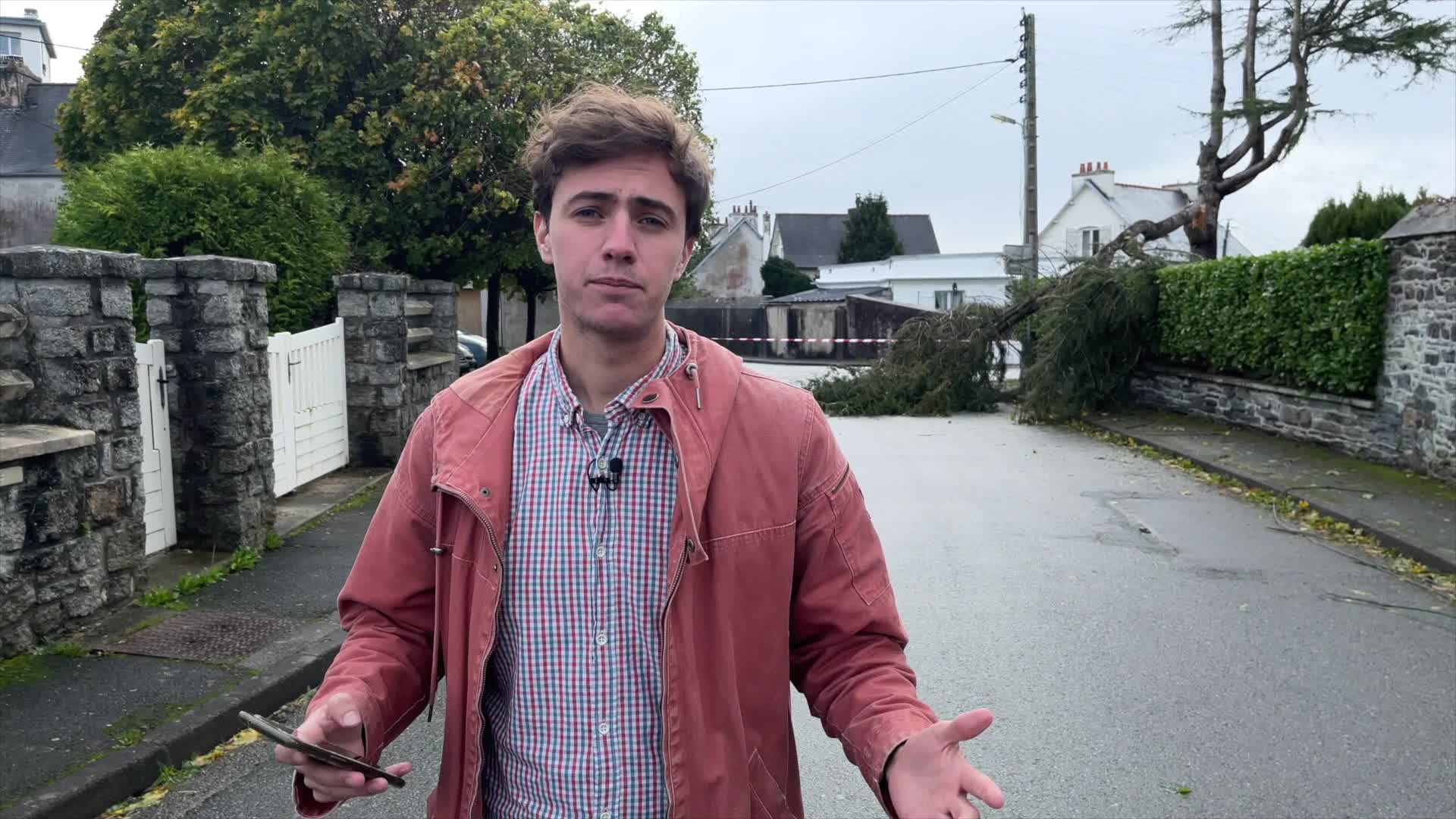 Tempête en Bretagne : ce qu'il faut retenir du passage de Ciaran à la mi-journée