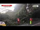 VIDÉO. Tempête Ciaran : sur les routes de Loire-Atlantique, des agents à l'oeuvre pour dégager les arbres au sol