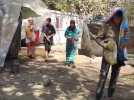 Marly: la collecte de Karim Berbache permet de livrer 20 bungalows pour 120 villageois victimes du séisme du 8 septembre au Maroc