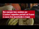 VIDÉO.Des courges bios vendues par E.Leclerc rappelées partout en France à cause d'un insecticide
