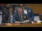 L'ambassadeur israélien à l'ONU accroche l'étoile jaune sur sa poitrine