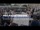 Les images de la manifestation pro-palestinienne à Nice