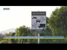 Toulouse : les radars automatiques soufflent leur 20e bougie