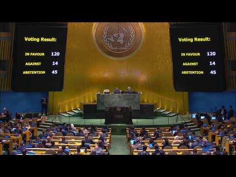 UN General Assembly approves resolution seeking immediate 'humanitarian truce' in Gaza