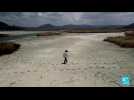Pérou-Bolivie : le Lac Titicaca subit une sécheresse historique
