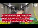 VIDÉO. Reportage au contrôle vétérinaire à Saint-Malo