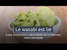 Le wasabi est lié à une amélioration substantielle de la mémoire, selon une étude