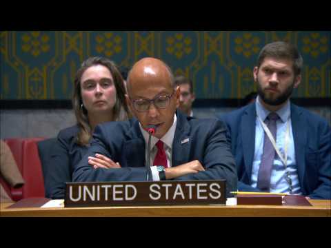 US tells UN meeting it opposes immediate Gaza ceasefire