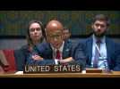 US tells UN meeting it opposes immediate Gaza ceasefire - Label : AFPTV - First images - Category : News