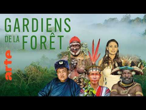 (Bande-annonce) Gardiens de la forêt | Série documentaire | ARTE