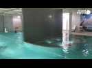 VIDEO. Le spa des Cures marines de Trouville-sur-Mer rouvre ses portes