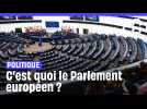 A quoi sert le Parlement européen à Strasbourg ?