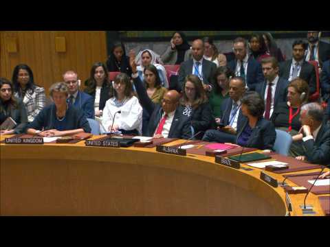 US vetoes UN Security Council resolution calling for Gaza ceasefire