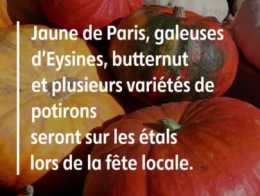 Insolite - Dans cette petite commune de Creuse, on a ramassé trente tonnes de cucurbitacées !