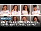 Élection de Miss Nord - Pas-de-Calais : zoom sur les candidates de l'Artois-Douaisis