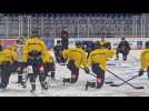 Hockey sur glace - CHL : les Dragons de Rouen prêts pour affronter Mannheim