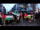 Manifestation Pro Palestienne Lille
