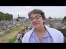 Cimetières : la ville du Mans procède à des reprises de concessions