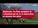 VIDÉO.Glyphosate : les États européens ne s'accordent pas sur la ré-autorisation, un nouveau vote pr