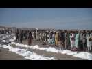 Séisme en Afghanistan : funérailles collectives pour les victimes