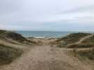 Les dunes de Bréville, un trésor à l'équilibre fragile