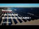 Une entreprise veut recycler « un tsunami de panneaux solaires » pour leur donner une seconde vie