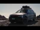 Audi Q8 e-tron edition Dakar Design Preview