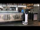 VIDÉO. Dans ce restaurant de l'Orne, les clients sont servis par... un robot !