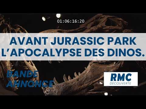 bande annonce Avant Jurassic Park : L'apocalypse des dinosaures sur RMC Découverte
